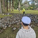 사방염소농장 이미지