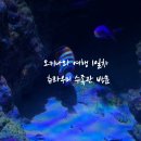 베스트오브베스트피자 | [일본여행] 오키나와로 여름휴가 1일차 츄라우미 수족관, 카진호피자 떠나용