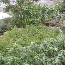 동산약국 이미지