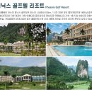 피닉스골프