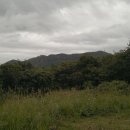 엄사약국 이미지