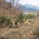 도제원로84 이미지