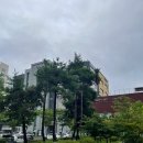 푸른방송 아트홀 | [구로문화재단_2025 오류아트홀 기획공연]_슬기로울 사회생활