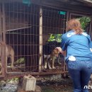 김효진농장 이미지