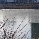 이문안호수공원 이미지