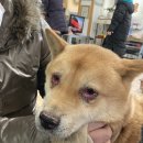 분평동물병원 이미지