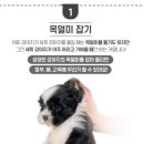 하루언니 이미지