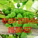 더 부여공인중개사사무소 이미지