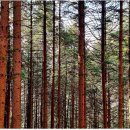 산업전사 위령탑 이미지