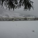 회덕초교 이미지