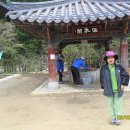 윤호문 Daum카페