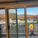 BHC치킨피자애플 이미지