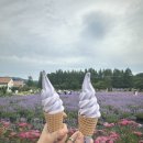 일출고성운동장 | 고성여행기