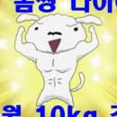 제이제이점핑