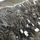 신원대로-4 이미지