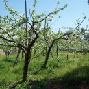 운경농장 이미지