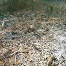 가좌4동 행정복지센터 이미지