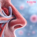 참좋은약국 네이버블로그