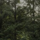 클래식캠프 이미지