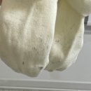 레뷰174풀빌라 이미지