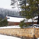 엠제이팀