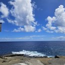 국도 | [하와이 여행정보] 하와이 오아후 72번 국도 드라이브 후기