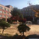 보영피아노