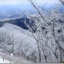 179차 창원 동행산악회 2월5일 화순 모후산 정기산행일정 이미지