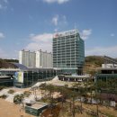 송라면행정복지센터 이미지