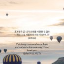 원우소방 이미지