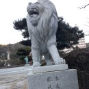 내지천 이미지