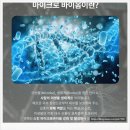 맥주효모샴푸 추천 아썸 마이크로바이옴 볼륨샴푸 사용 후기 및 효과와 성분