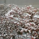 제천합기도 이미지