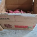 맛샘농장 이미지