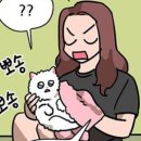 춘배 이미지