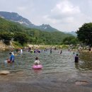 아쿠아 프랜즈 이미지