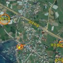 동일리-6 이미지