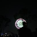 서울세계불꽃축제 Daum카페