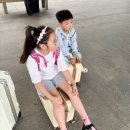 광주성인용품점닷컴 | 차없이 목포에서 퀸메리 호 타고 떠난 제주여행 꿀팁 및 솔직후기