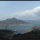 거북이동산 이미지