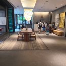 스테이비호텔 명동 | 서울여행 숙소 스테이비호텔명동