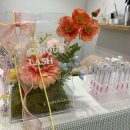 누니래쉬 | 경성대 누니크래쉬 추천 ! 백만년만에하는 속눈썹연장 후기 … 💙