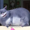 주식회사 펫인사이드 네이버블로그