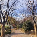 신천교사거리(신천교) 이미지