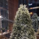 오빠 위로 받고싶어서 왔어요🫶 오빠는 이럴 때 어떻게 했어요ㅠㅠㅠ? 이미지