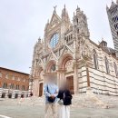 나무요일 민박 | 로마에서 피렌체 이동 투어 토스카나 투어 추천 비교 가격