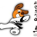 강인아이 태권도 이미지