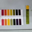 저단58 | 케이카 홈서비스 + 정밀 점검 으로 중고차 현명하게 구매하자. 캐딜락 ATS 후기