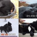 주운농장 이미지