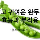 완두콩 이미지